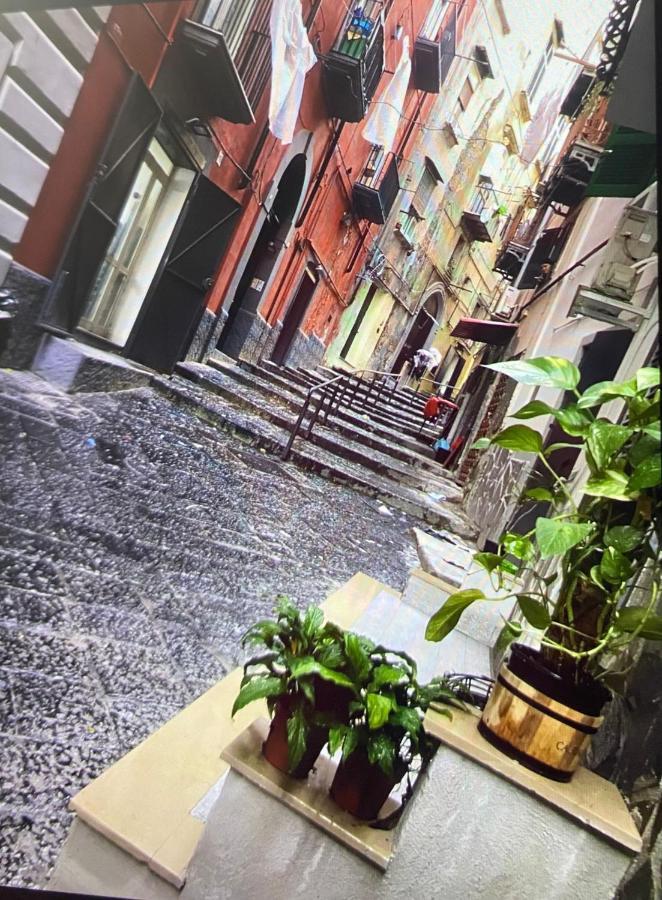 Casa Mari' Centro Storico Vicino Hotel Caracciolo Napoli Eksteriør bilde