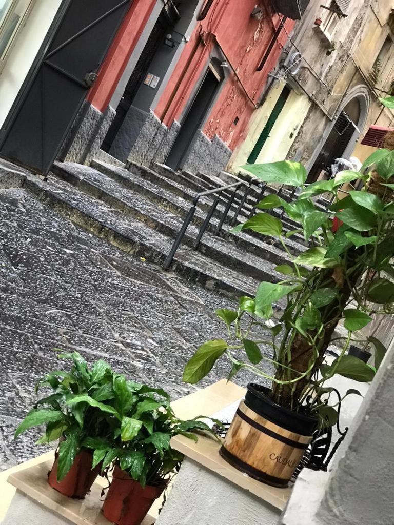 Casa Mari' Centro Storico Vicino Hotel Caracciolo Napoli Eksteriør bilde